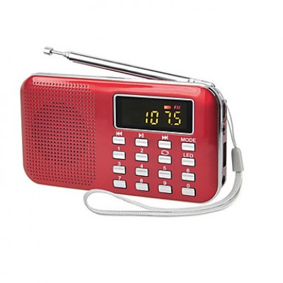 Y-896 Portable Player Radio for the Elderly